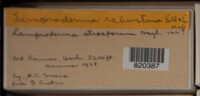 Image Associated With the Occurence